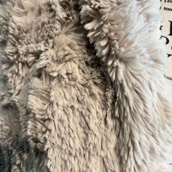 Cozy Faux Fur Vest - Picture 4 of 6